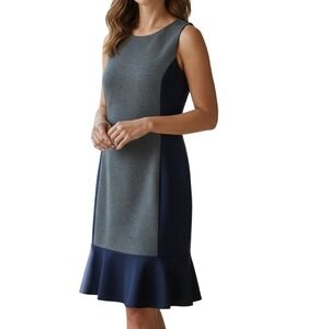 J.Crew Colorblock Sheath Dress 6 Quiet Luxury Corporate Core Power Dark Academia